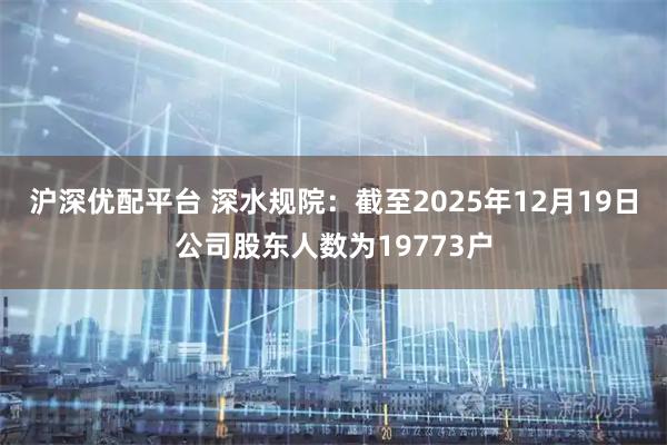 沪深优配平台 深水规院：截至2025年12月19日公司股东人数为19773户